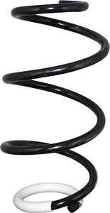 Jousi (auton jousitus), Taka-akseli, RENAULT CLIO III, 540107678R
