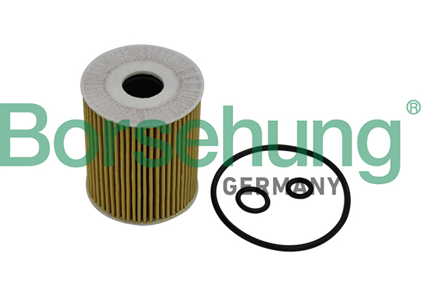 Öljynsuodatin Borsehung B10533