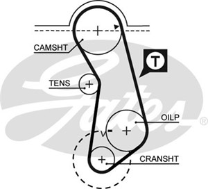 Hammashihna, AUDI,PORSCHE,SEAT,VW, 037109119B, 056109119A