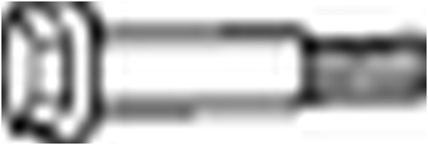 Ruuvi, pakoputkisto BOSAL 258-904