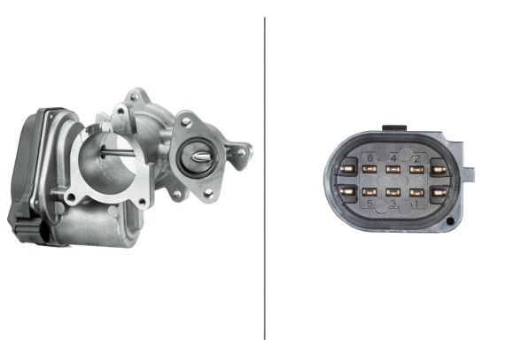EGR-venttiili HELLA 6NU 010 171-291
