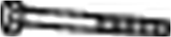 Ruuvi, pakoputkisto BOSAL 258-889