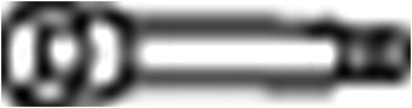 Ruuvi, pakoputkisto BOSAL 258-781