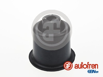 Paljekumisarja, ohjaus AUTOFREN SEINSA D9092