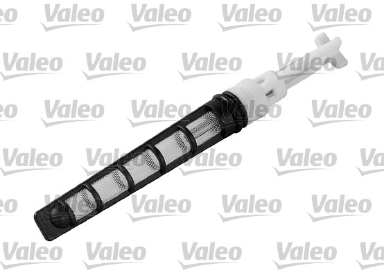 Ruiskutussuutin, paisuntaventtiili VALEO 508964