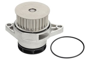 Vesipumppu, SEAT CORDOBA, IBIZA II, VW POLO, 036121005, 036121005D, 036121005DV, 036121005DX, 036121005J, 036121005M, 036121005MX, 03612