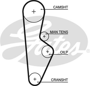 Hammashihna, HONDA ACCORD II, ACCORD III, ACCORD Aerodeck III, ACCORD Coupé III, ACCORD Hatchback II, PRELUDE II, 06141-PC6-305, 14400-P