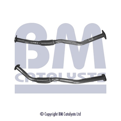 Pakoputki BM CATALYSTS BM50169