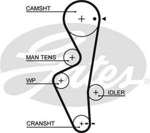 Hammashihna, NISSAN SUNNY Skåp / kombi III, 13028-59Y00, 13028-59Y25, AY440-NS007