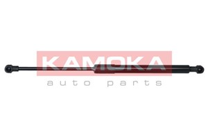 Kaasujousi, konepelti, Edessä, RENAULT ESPACE IV, 8200091749, 8463263