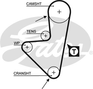 Hammashihna, CITROËN,PEUGEOT, 0816.36, 0816.42, 0816.56, 081636, 081642, 081656, 94560702, 96029000, 96140147, 9614014780, 97522930, 975