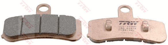 Jarrupalasarja, levyjarru TRW MCB813SV