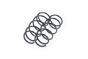Madallussarja, Etuakseli, RENAULT CLIO II, THALIA I, 77 00 417 229, 7700432197, 8455271