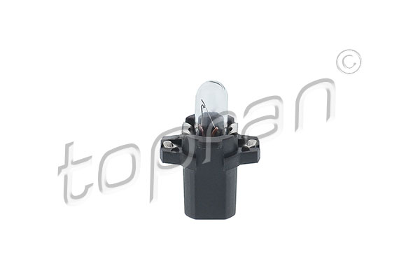 Polttimo, mittariston valo TOPRAN 107 086