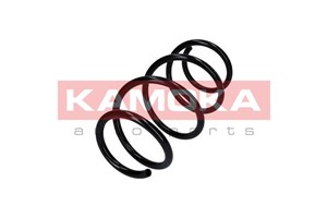 Jousi (auton jousitus), Etuakseli, RENAULT LAGUNA III, LAGUNA Grandtour III, 540100006R