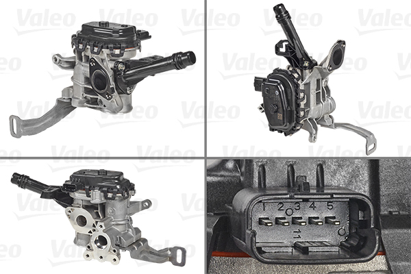 EGR-venttiili VALEO 700455