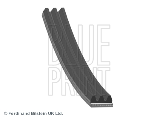 Moniurahihna BLUE PRINT AD03S842