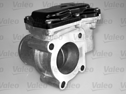 Kaasuläpän kotelo VALEO 700431
