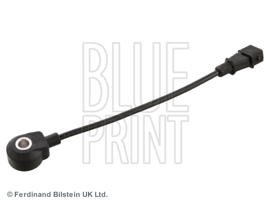 Nakutustunnistin BLUE PRINT ADG072122