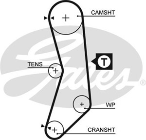 Hammashihna, FIAT CINQUECENTO, CINQUECENTO VAN, PALIO, SEICENTO / 600, SEICENTO / 600 Skåp/halvkombi, UNO, 46474432, 71719646, 71749475
