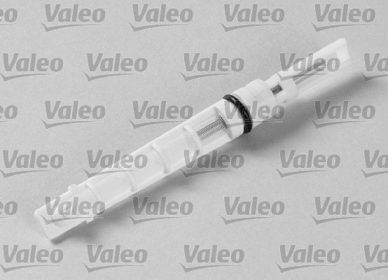 Ruiskutussuutin, paisuntaventtiili VALEO 508970