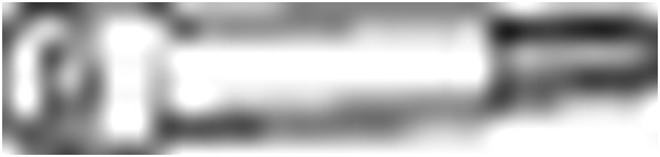 Ruuvi, pakoputkisto BOSAL 258-771