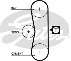 Hammashihna, CITROËN,PEUGEOT,TALBOT, 0816.34, 081634, 1712985, 3C119176AA, 3C119176AB, 4537951, 5493977, 95493977, 95554802