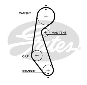 Hammashihna, NISSAN, 13028-01M00, 13028-01M10, 13028-50A00, 164004BD0B, 16400-4EA1B, 16400-4EA1D