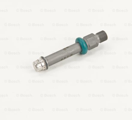 Ruisku BOSCH 0 437 502 043