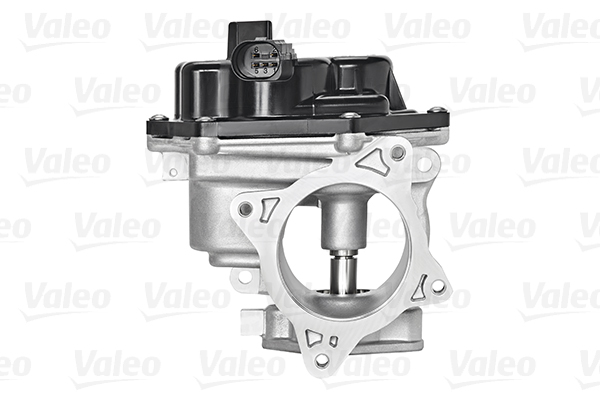 EGR-venttiili VALEO 700448